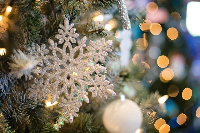 snowflake-g46bb50a06_640